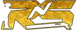 Black and gold logo